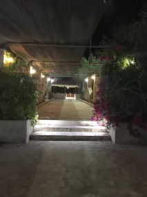 Beautiful Farm in dubai - Image 4