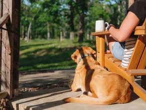 Big Pine Holler | Cozy Cabin with Hot Tub - Image 3