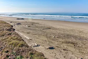 Haus am Meer an einem ruhigen Strand in der Nähe von Yachats! FREIE NACHT! - Image 4