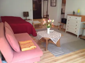 Appartement mamie 30m² à Eppelheim aux portes de Heidelberg et Schwetzingen - Image 4