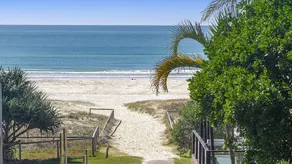 Beach Pines 5 - Image 5