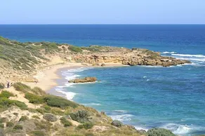 Portsea's Finest - Portsea, VIC - Image 5