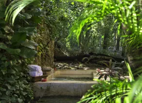 Hacienda Santa Rosa de Lima - Image 4