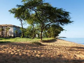 Beautiful Two bedroom Villa at Westin Nanea Ocean Villas! - Image 5
