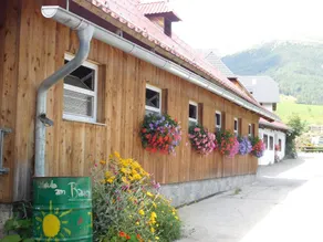 Ferienwohnung Holmbauer - Ferienwohnung - Image 4