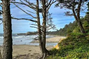 Mermaid's Rest  Oceanfront A Frame  Pet Friendly - Image 5