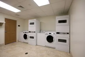 Accessible Queen Studio w/ Kitchen, Buffalo - Image 3