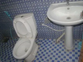 ALP Guest - Image 2