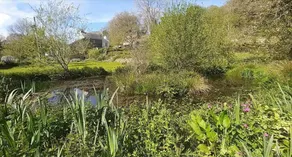 Cottage - Sleeps 2 - River Lynher walks & fishing - Image 4