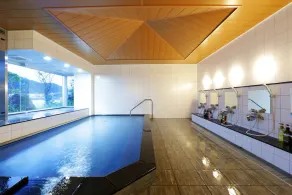 Okukinosaki Seaside Hotel - Image 2
