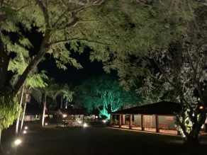 Beautiful horse farm near São Paulo. - Image 4