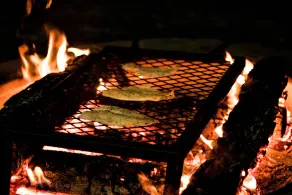 Van Camping - Do Something Different! - Image 5