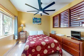 Peaceful dog-friendly condo w/ ocean view, shared pool, free WiFi & partial AC - Image 4