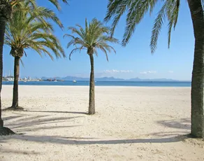 Can Ramon: romantic, small finca in the countryside with pool and terraces - Image 4