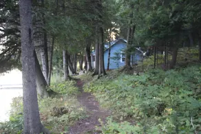 Cabin #3 - Just Steps From Beautiful Lake Cecebe - Image 5