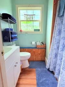 Lakefront, Swim, Fish, Kayak, fire pit, star gazing, pet friendly. All on site! - Image 5
