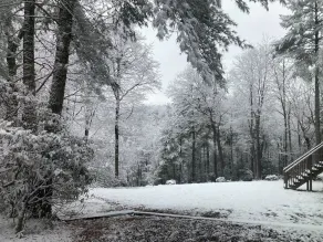 Mysig stuga i skogen, 30 min från Boone-vistelse 3 nätter få en gratis - Image 2