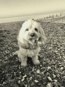 Minutes from Whitstable beach and high street. Sleeps up to 6 - Image 2