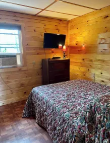 3 BR Adirondack Beach House - Image 4