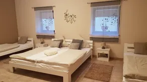 Appartamento totalmente attrezzato con barbecue, sauna e terrazza | Ammette cani - Image 5