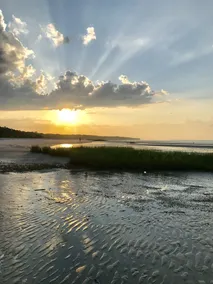 Great views of the New River close to Savannah and Hilton Head. - Image 5