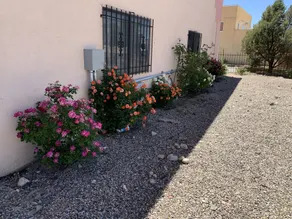Luxury Inn - Image 4