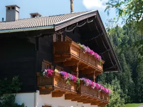 The Glaagut - Family Hain - Chalet para 12 personas - Image 5
