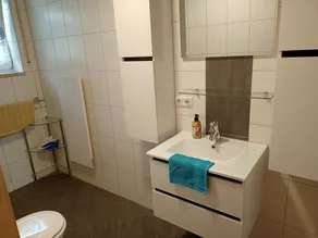 Mod. Apartment. with pool u. Veranda am Brombachsee - Wellness Oasis. Dogs welcome - Image 4