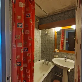 Ski-in/ski-out & foot of the slopes, 2nd floor, balcony, tv, 23m², Auris en Oisans - Image 3