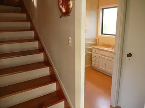 Cute Cottage - Cooks Beach Bach - Image 3