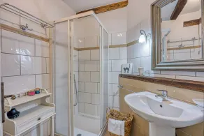 Rustic villa Amyra with pool and grill in Porec - Image 4