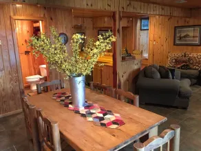 Beautiful Cedar Cabin Connection on Lake Hamilton - Image 3