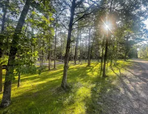 Private Ozark Mountain Retreat RV Lot for Rent! - Image 5