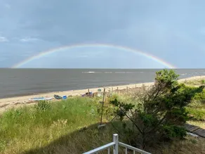 Det gule sommerhus! På Delaware-bugten er ryggen til tilflugtssted for dyreliv! - Image 5