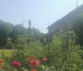 Rental & Gîte - Image 5