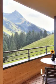 Alpenstolz Damüls Haus 1 - Stilvoll urlauben in den Bergen - Image 3