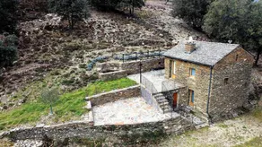 La Vigne - SAINT MARTIN DE LANSUSCLE - Image 5