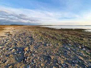 4 stjernet sommerhus i Nibe - Image 5