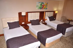 Asrin Business Hotel Kızılay - Image 4