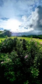Vermont cabine sur 20 acres en champ ouvert - Image 3