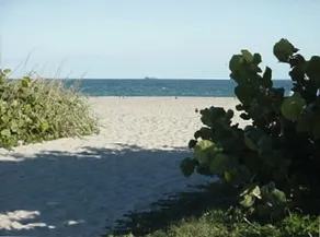 BEAUTIFUL DIRECT OCEANFRONT VIEW NOW RENTING FALL-SPRING WATCH ROCKET LAUNCHES! - Image 5