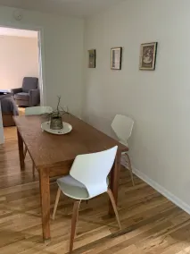 Cozy 3 Bdrm. Apt.  sleeps 5 guests in the historic neighborhood of Oak Park IL - Image 5