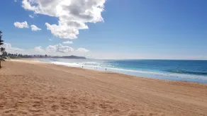 Observação de golfinhos e baleias Vista para o mar Fuga com acesso à praia (A8) - Image 4