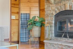 Upscale Lakefront Table Rock Cabin with nearby Launch - Image 3