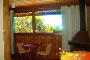 Pássaro de Fogo - Image 2