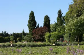 Mas de L'Ermitage - Image 4