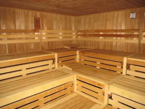 App 420 mit Schwimmbad und Sauna im Panoramic Hohegeiß Braunlage - Image 2