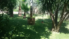Villa surrounded by greenery with private pool - Image 5