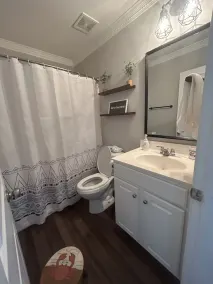 Immaculate Farmhouse Style Southern Rental - Image 2