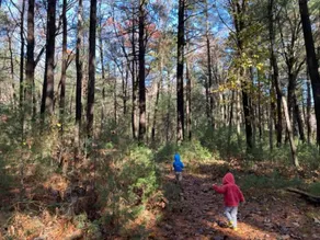 Nature Family Retreat/20 min from Boston and Gillette Stadium. - Image 4